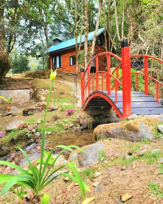 Unicorn Lodge: Direct Riverfront : Unique Experience San Gerardo de Dota Zewnętrze zdjęcie