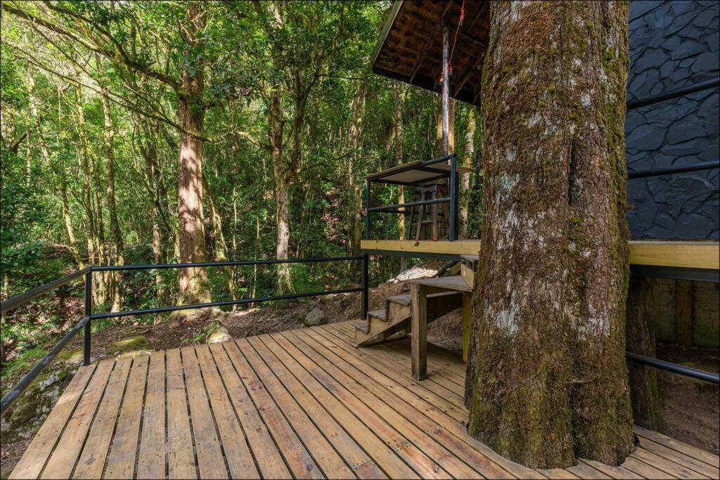 Unicorn Lodge: Direct Riverfront : Unique Experience San Gerardo de Dota Zewnętrze zdjęcie