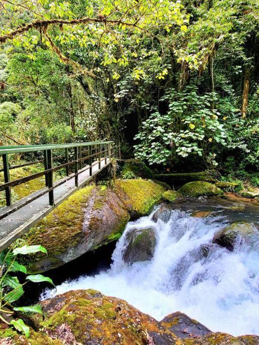 Unicorn Lodge: Direct Riverfront : Unique Experience San Gerardo de Dota Zewnętrze zdjęcie