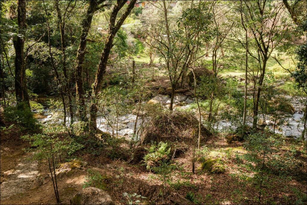 Unicorn Lodge: Direct Riverfront : Unique Experience San Gerardo de Dota Zewnętrze zdjęcie