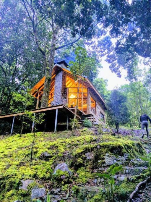 Unicorn Lodge: Direct Riverfront : Unique Experience San Gerardo de Dota Zewnętrze zdjęcie
