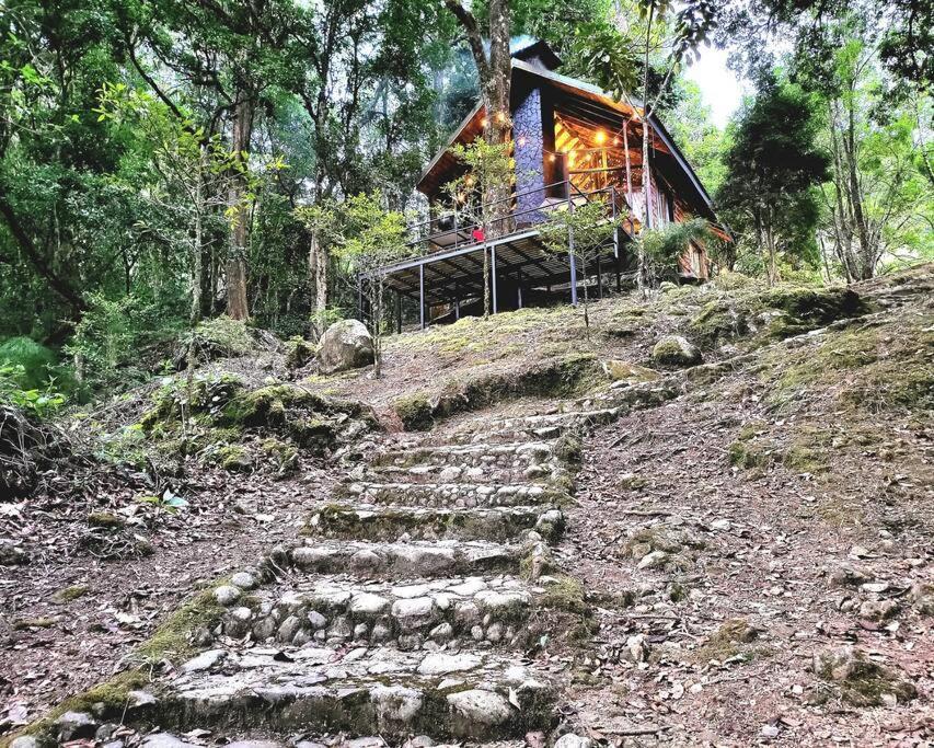 Unicorn Lodge: Direct Riverfront : Unique Experience San Gerardo de Dota Zewnętrze zdjęcie