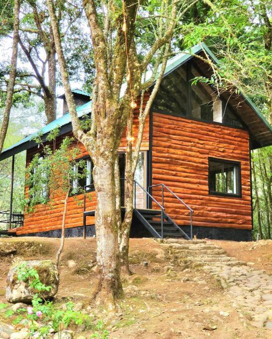 Unicorn Lodge: Direct Riverfront : Unique Experience San Gerardo de Dota Zewnętrze zdjęcie