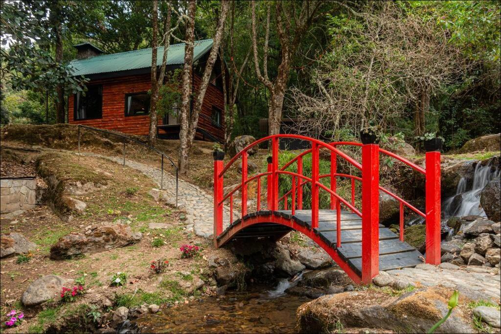 Unicorn Lodge: Direct Riverfront : Unique Experience San Gerardo de Dota Zewnętrze zdjęcie